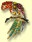 Baby Shakti and shells