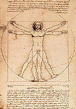 Leonardo's VITRUVIAN MAN